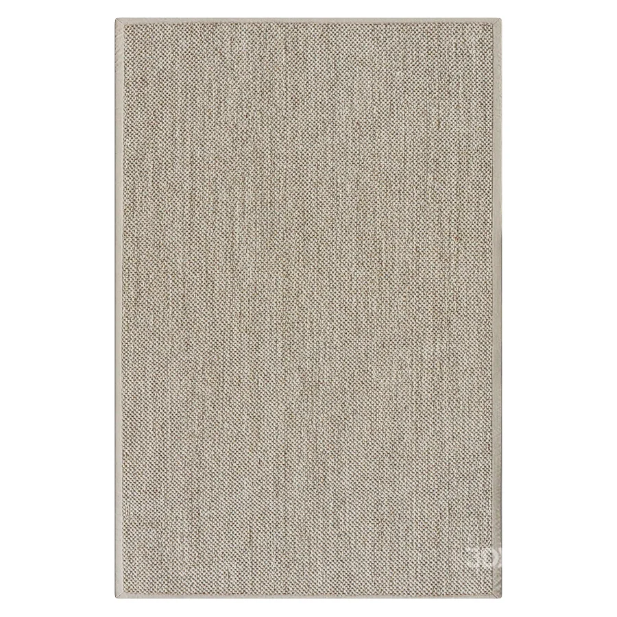 Sisal Area Rug in Ivory Image 2