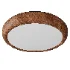 Wood Grain Round Ceiling Lamp - Thumbnail 2