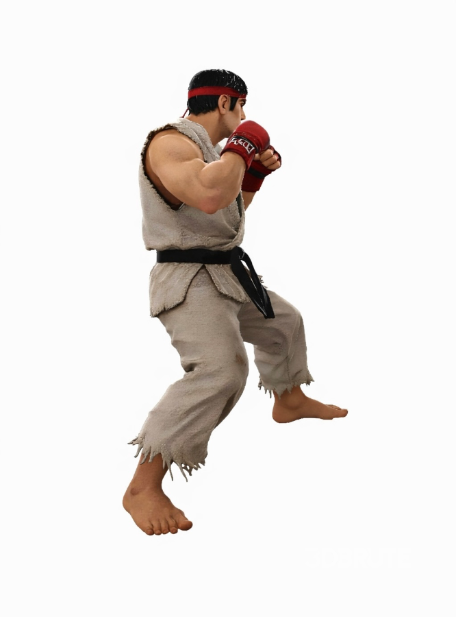 Realistic Martial Arts Fighter Character – Fighting Pose Image 6