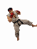Realistic Martial Arts Fighter Character – Fighting Pose - Thumbnail 2