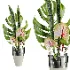 Monstera Bouquet - Thumbnail 3