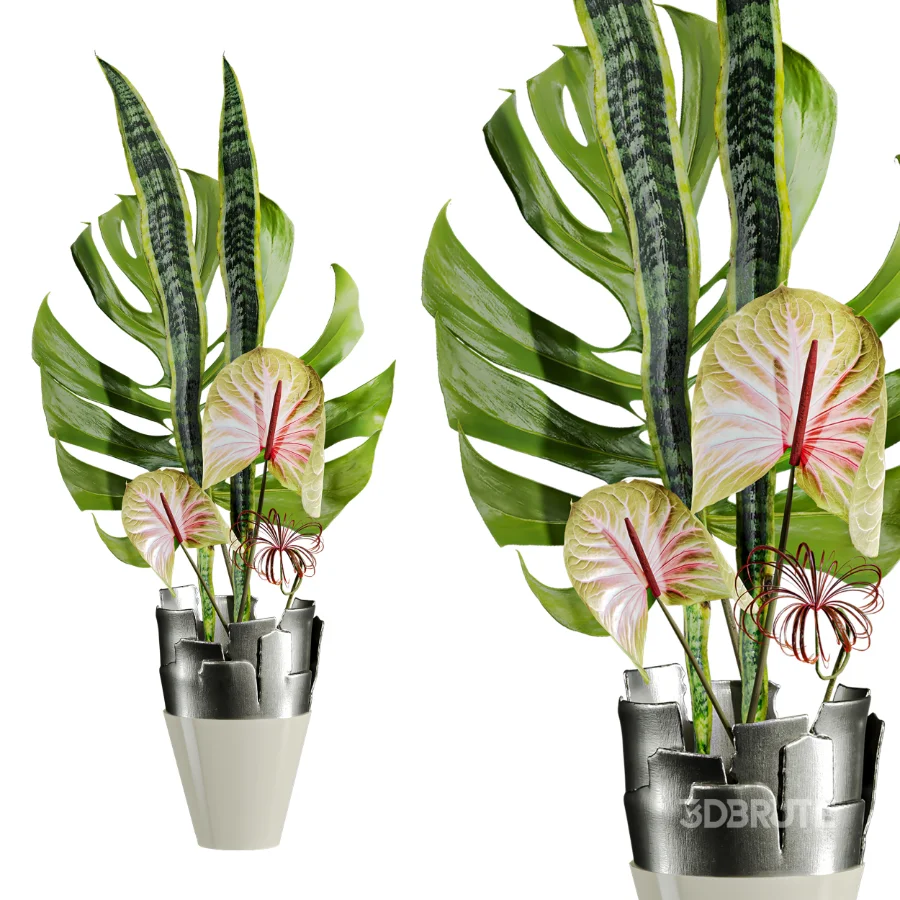 Monstera Bouquet Image 3