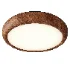 Wood Grain Round Ceiling Lamp - Thumbnail 1