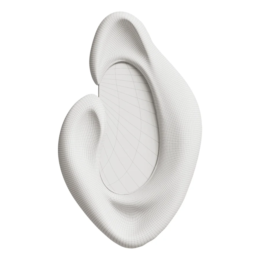 Sculptural Organic Mirror Image 6