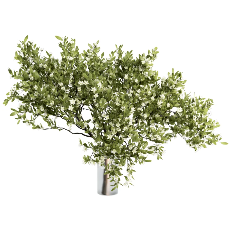 Bouquet Blooming Branch Spring Flowers in a Glass Vase Image 1