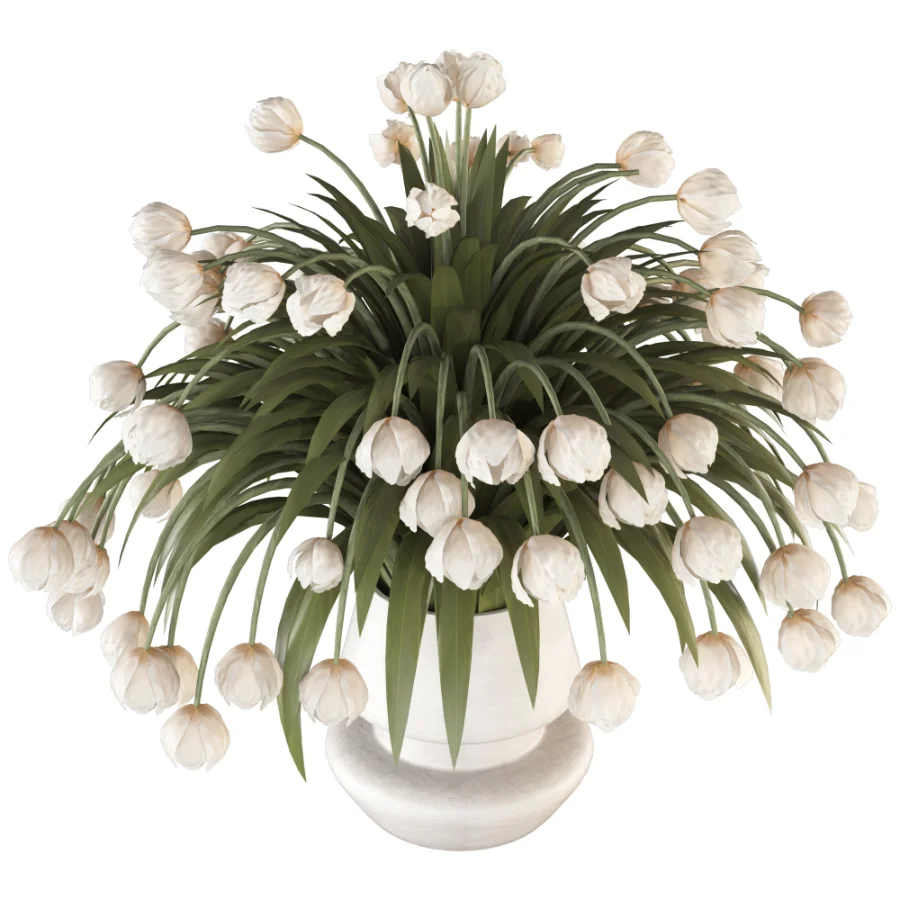 Beouquet of Tulips in Vase Image 2