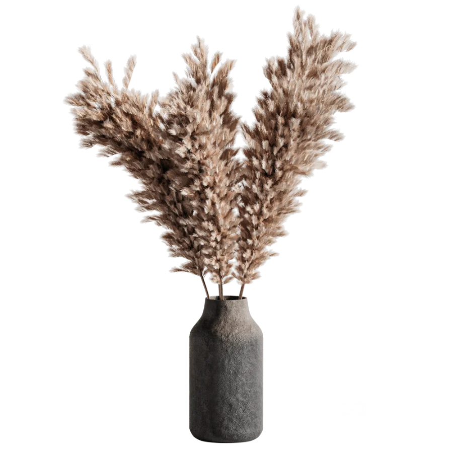 Pompas bouquet Image 2