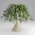 Spider Plant Chlorophytum Marble Hourglass Planter - Thumbnail 1