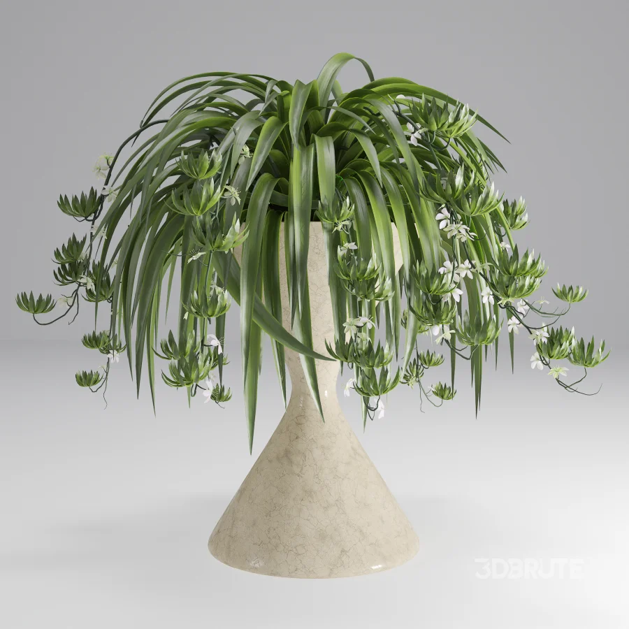 Spider Plant Chlorophytum Marble Hourglass Planter Image 1
