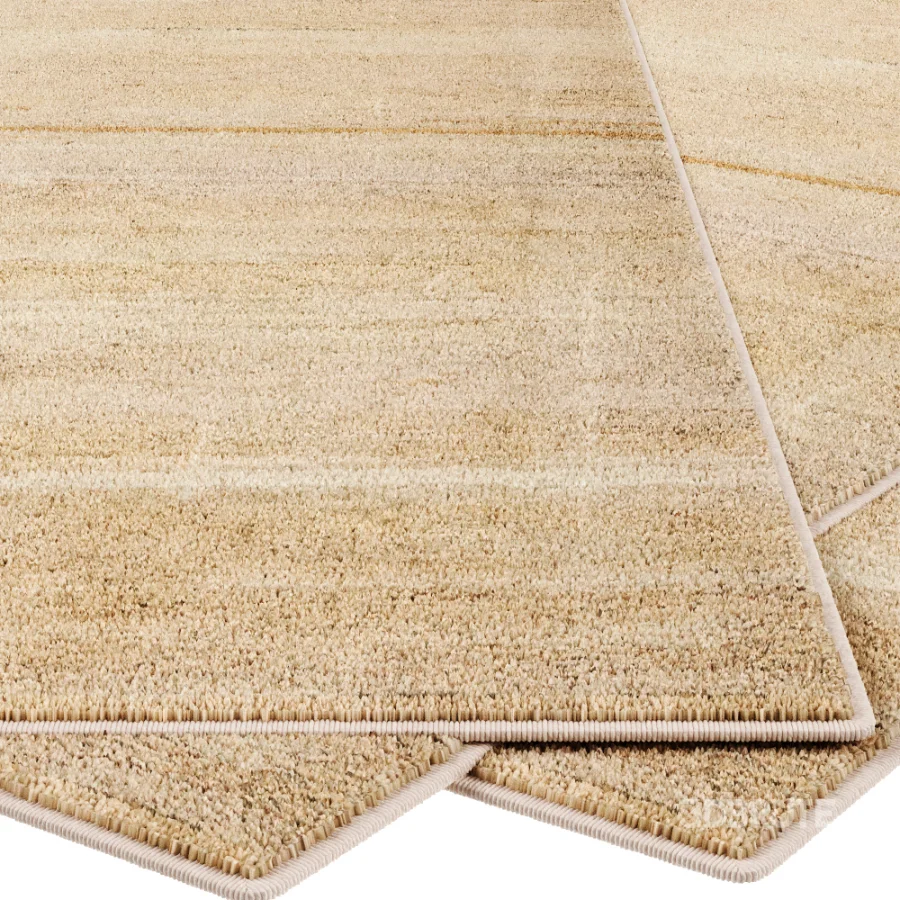 Carpet Image 3