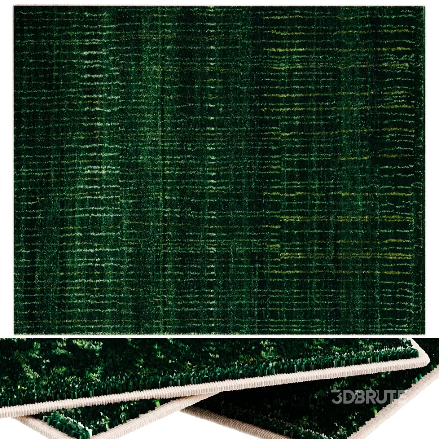 Carpet Image 4