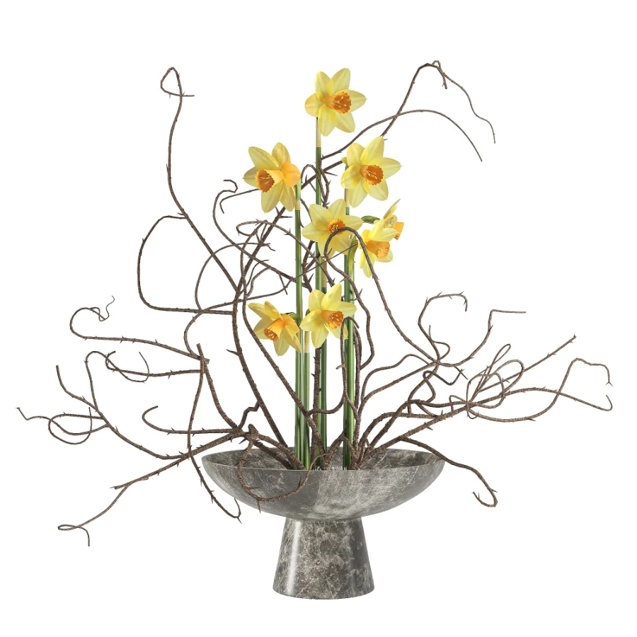 Daffodils Dry Twisted Branch Bouquet Image 1