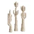 Minimalist Cactus Floor Sculptures Set - Thumbnail 3