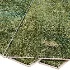 Carpet - Thumbnail 2