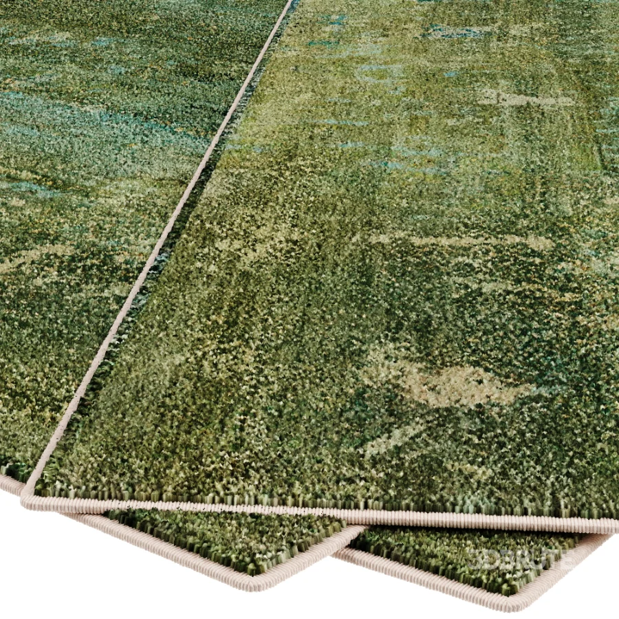 Carpet Image 2