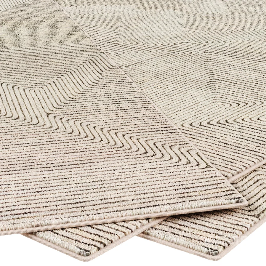 Carpet Image 4