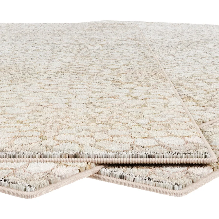 Carpet Image 3