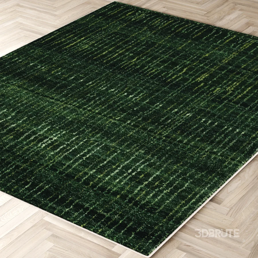 Carpet Image 3