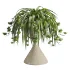 Spider Plant Chlorophytum Marble Hourglass Planter - Thumbnail 3