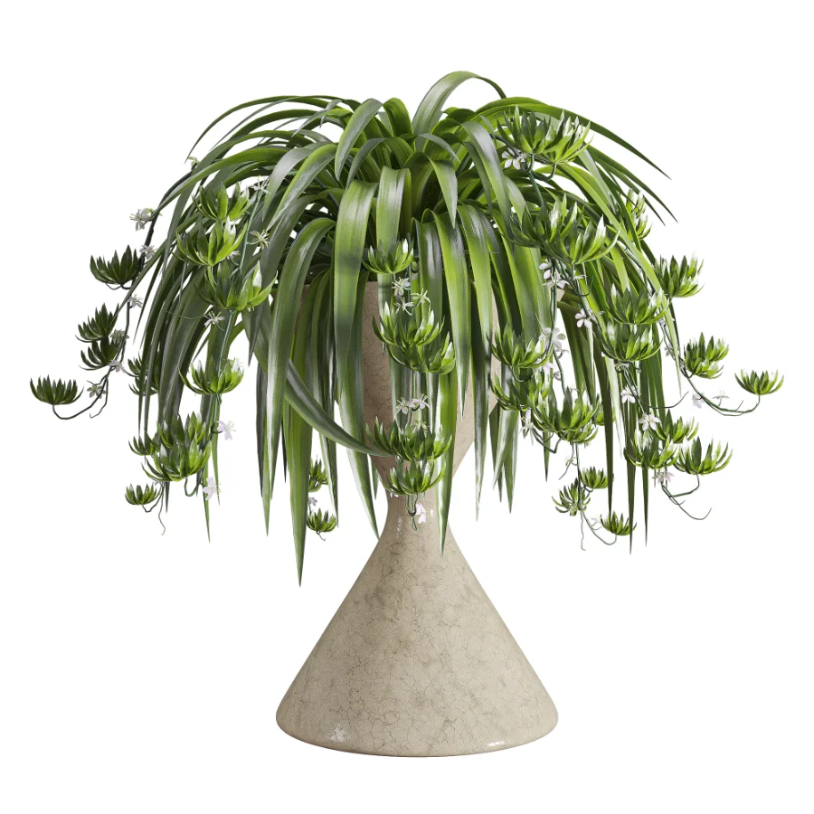 Spider Plant Chlorophytum Marble Hourglass Planter Image 3