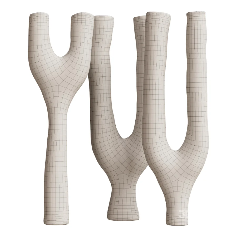 Organic Y-Shape Decorative Objects 05 Image 6