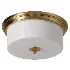 Dantone Home Alonzo Bronze Ceiling Lamp - Thumbnail 2