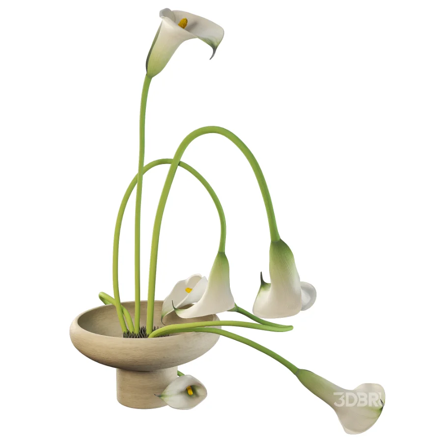 Modern Ikebana Calla Lily Arrangement Bouquet Image 6