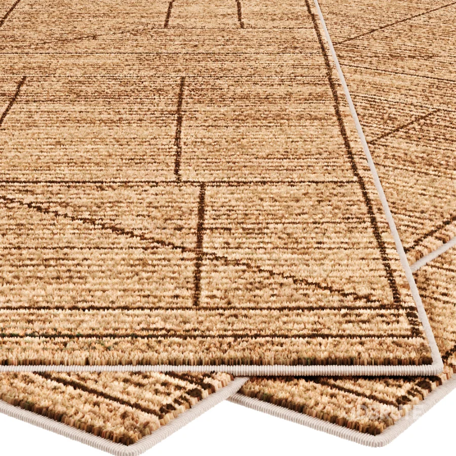 Carpet Image 5