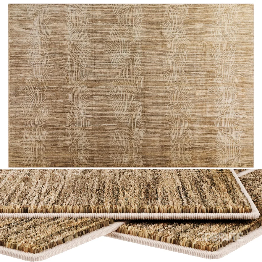 Carpet Image 5