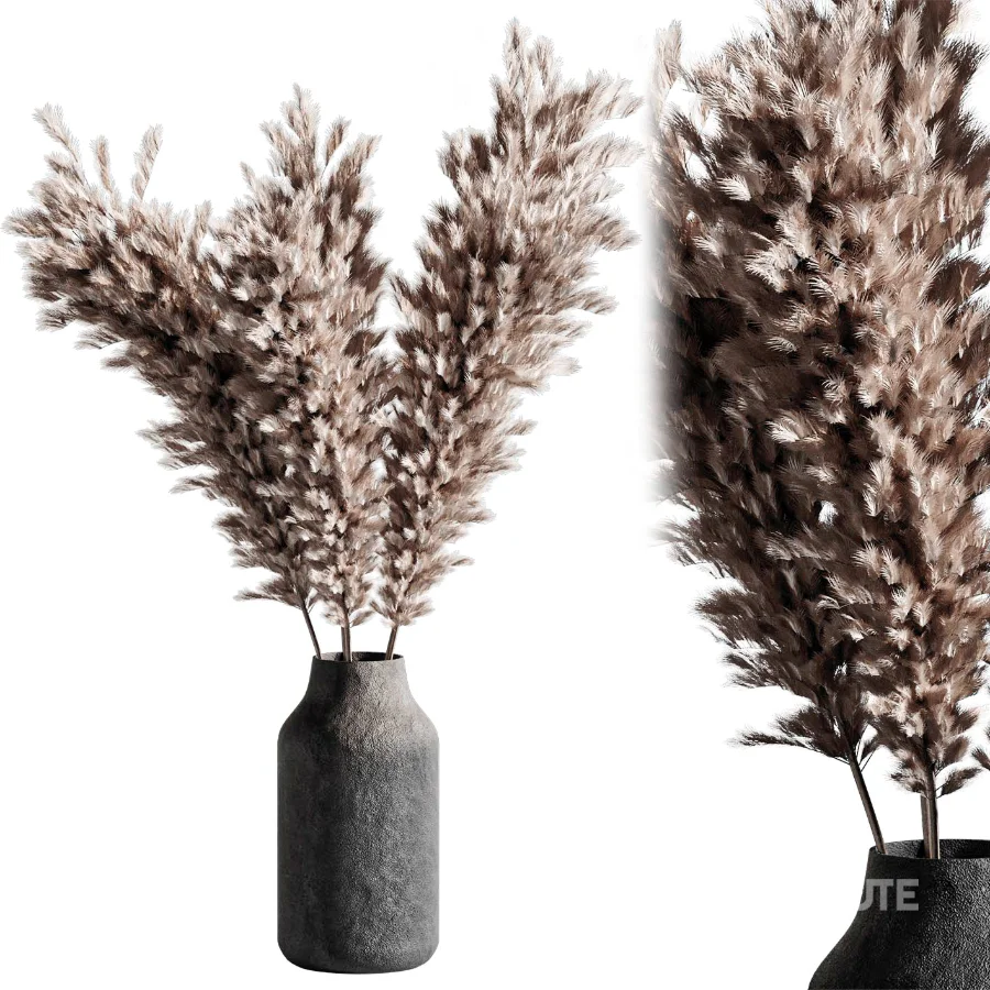 Pompas bouquet Image 1