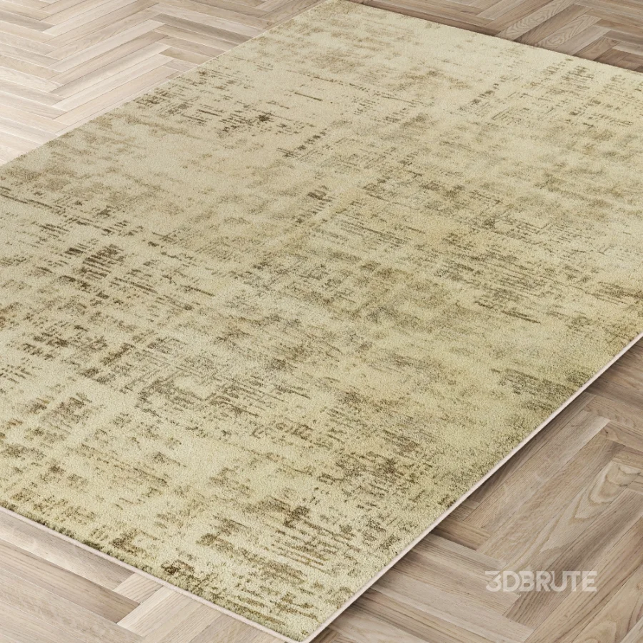 Carpet Image 3