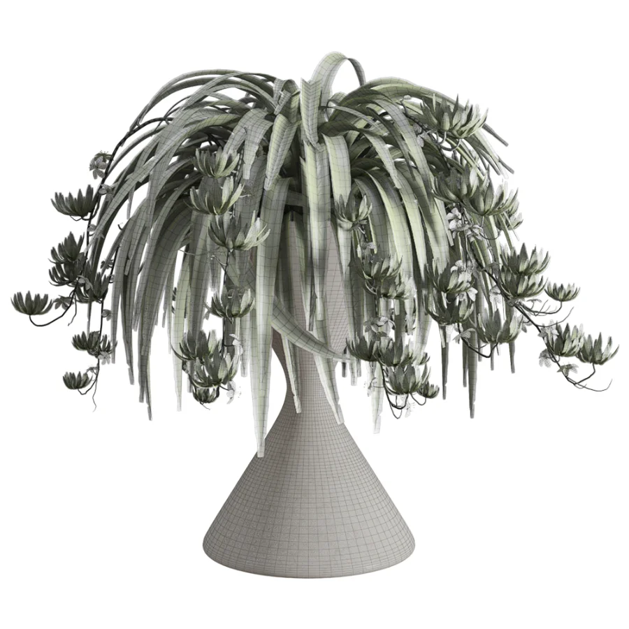 Spider Plant Chlorophytum Marble Hourglass Planter Image 6