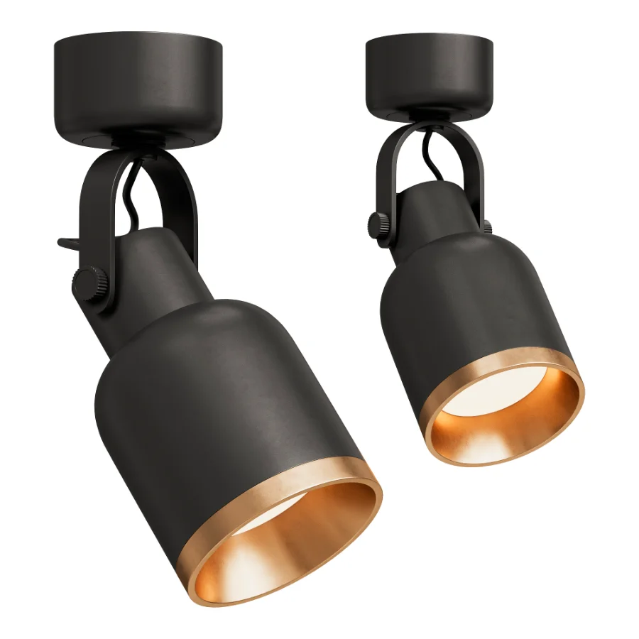 Bona Spotlight Image 1