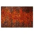 Carpet - Thumbnail 2