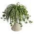 Spider Plant Chlorophytum Marble Hourglass Planter - Thumbnail 2
