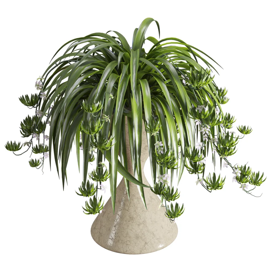 Spider Plant Chlorophytum Marble Hourglass Planter Image 2