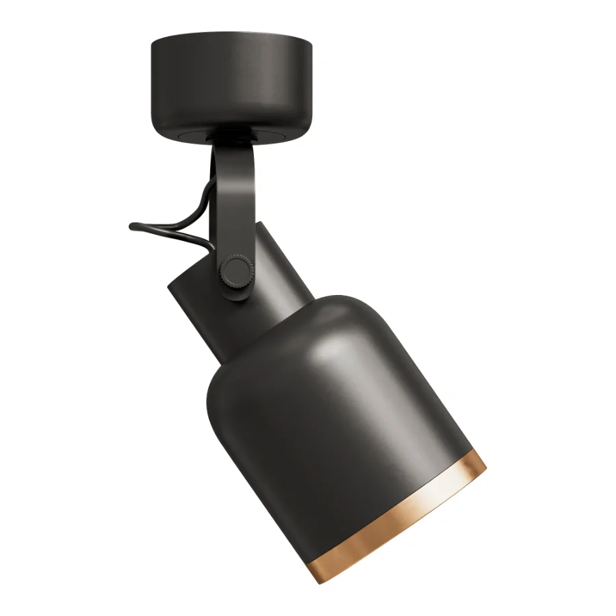 Bona Spotlight Image 3