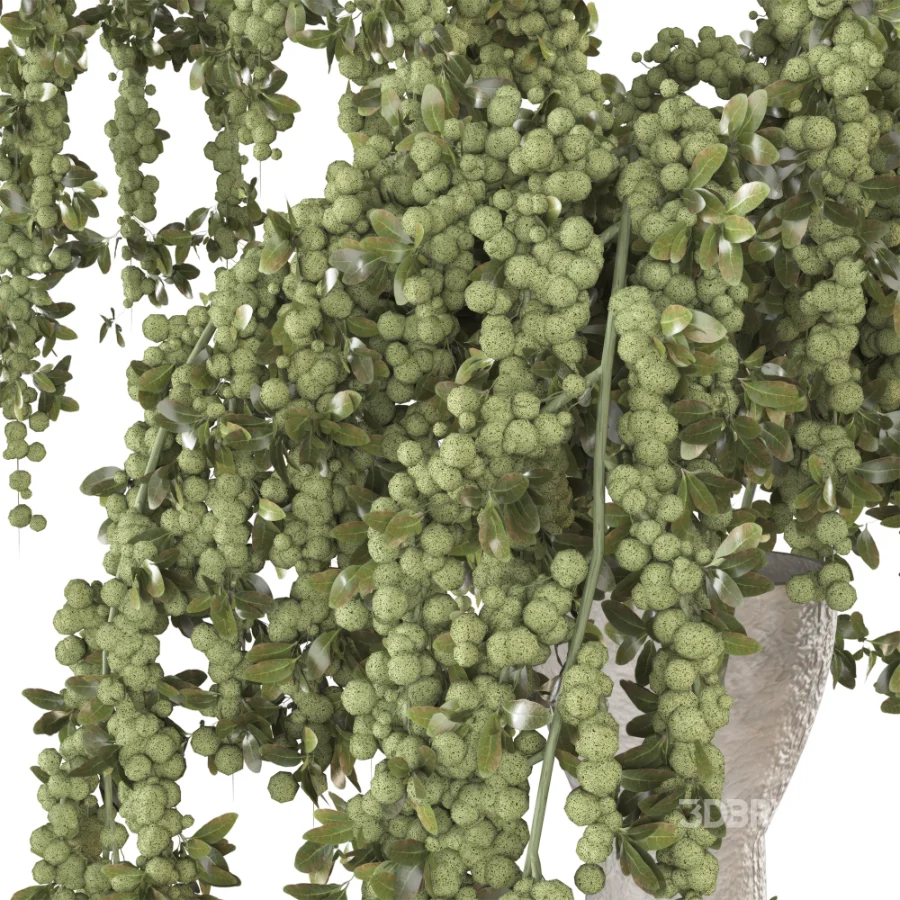 Beouquet of Branches in Vase Image 4