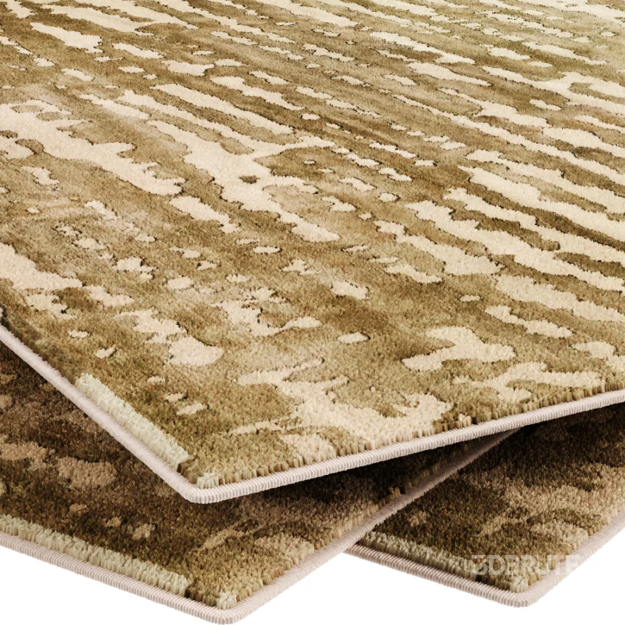 Carpet Image 2