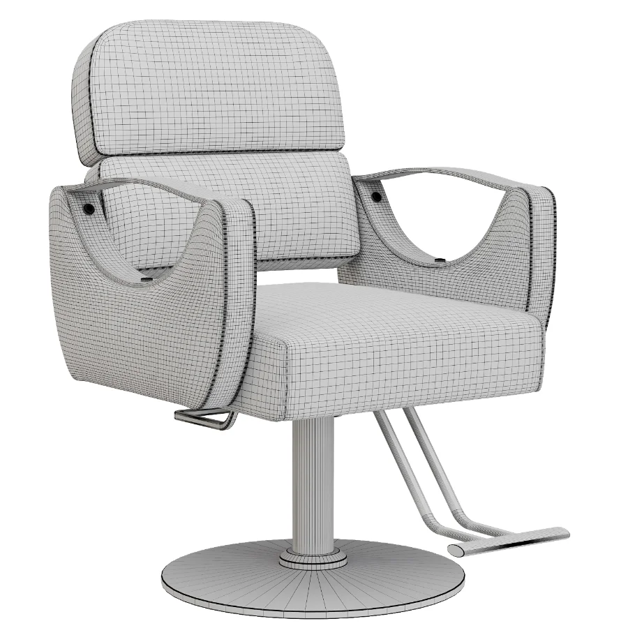 Adjustable Hair Salon Chair Image 1