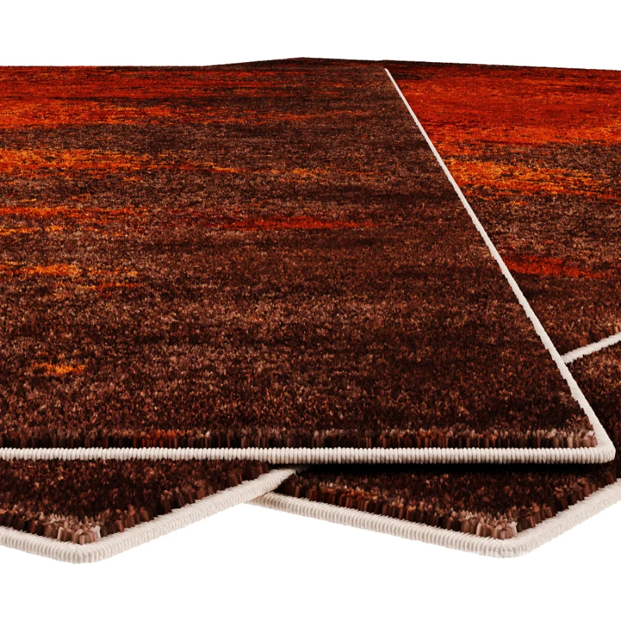 Carpet Image 4