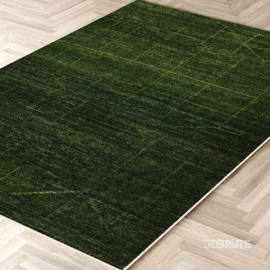 Carpet Image 5