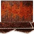 Carpet - Thumbnail 5