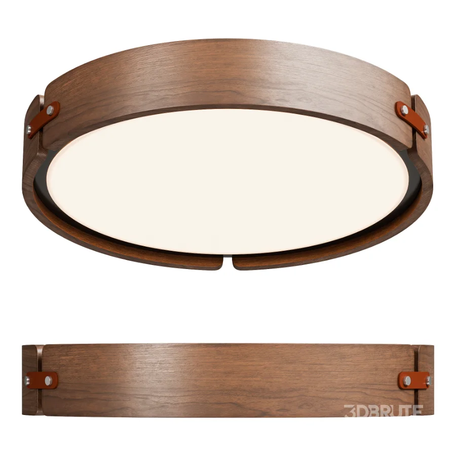 Ceiling Light ZMH LED Image 1