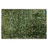 Carpet - Thumbnail 3