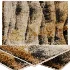 Carpet - Thumbnail 4