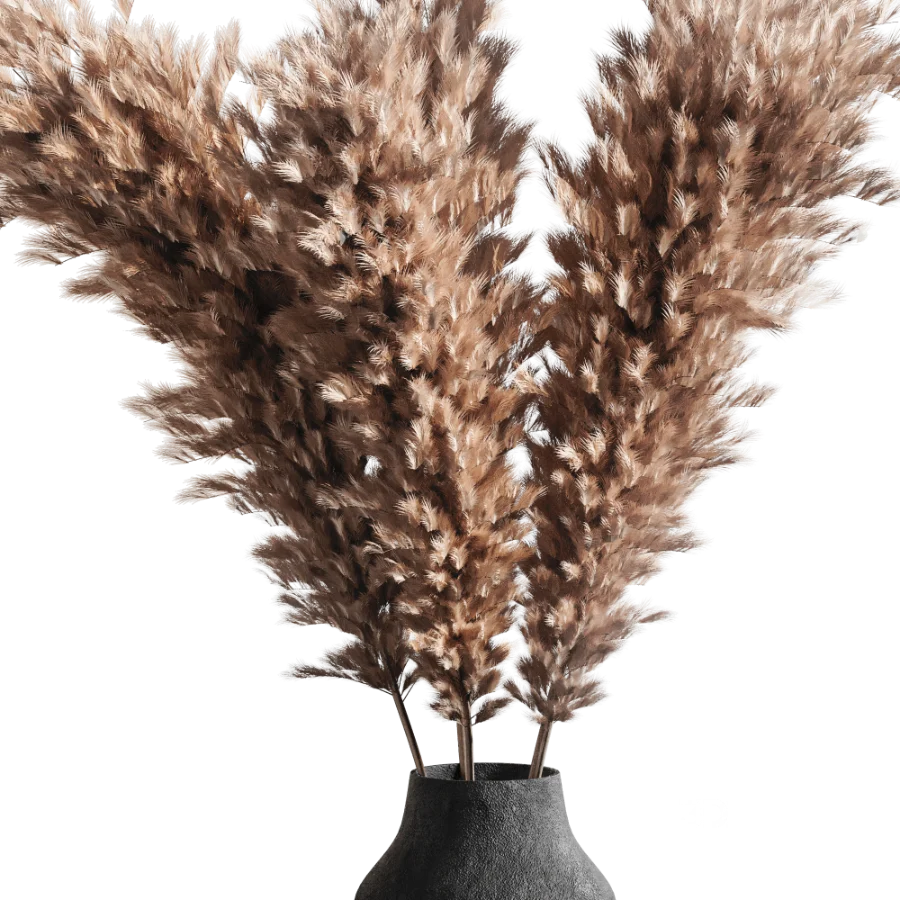 Pompas bouquet Image 4