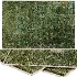 Carpet - Thumbnail 4