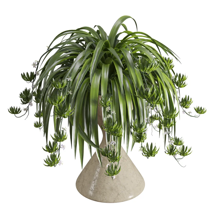 Spider Plant Chlorophytum Marble Hourglass Planter Image 5