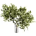 Bouquet Blooming Branch Spring Flowers in a Glass Vase - Thumbnail 2